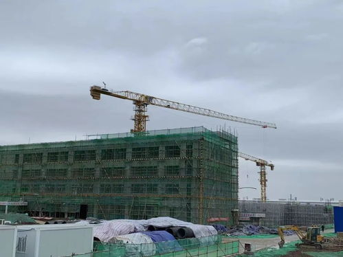 金花股份董事長邢雅江率隊視察草堂建設項目，強調高質量推進房屋建筑工程施工