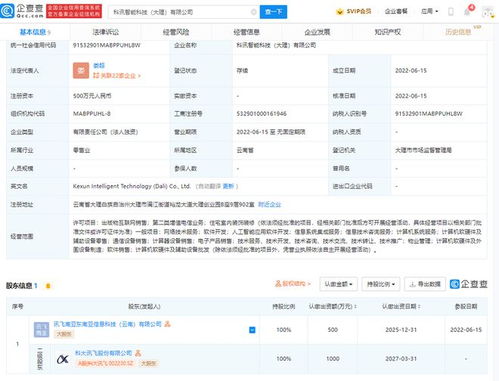 科大訊飛在大理成立智能科技公司，強(qiáng)化信息系統(tǒng)集成服務(wù)